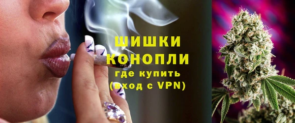 дживик Балахна