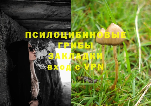 2c-b Балабаново