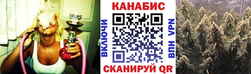 OMG ссылка Мариинский Посад Бошки марихуана планчик сколько стоит